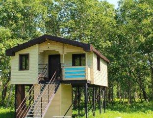 Kamchatka magic wood