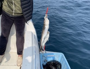Deep fishing Kamchatka