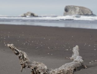 Taypantravelkamchatka