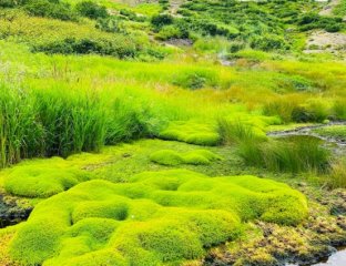 Время Путешествий