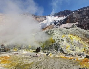 Витязь-Тревел