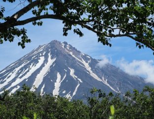Вкус Камчатки