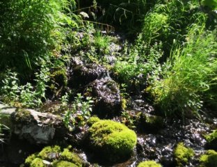 Горностай-ТУР