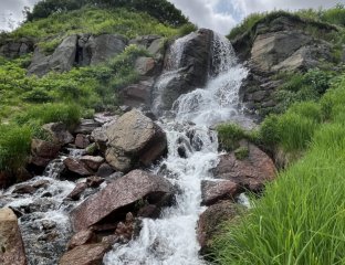 «Далкам Тревел»