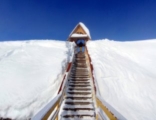 Камчатка Дискавери