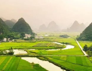 «Дальтурагентство»