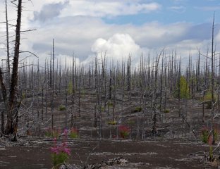 Затерянный мир