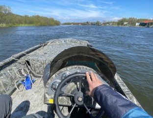 Кинг Салмон