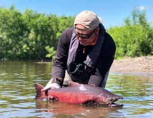 Лососевый рай