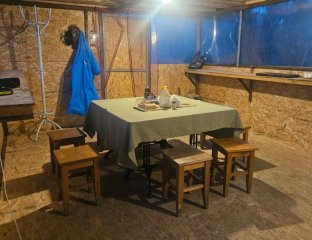 Наглая нерпа