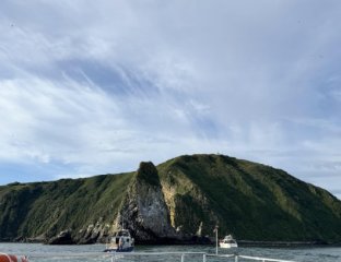 Океан эмоций