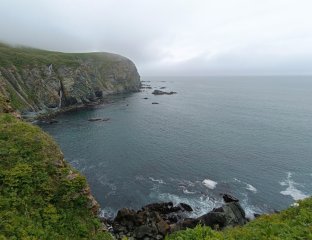 Океаническая Симфония Камчатки