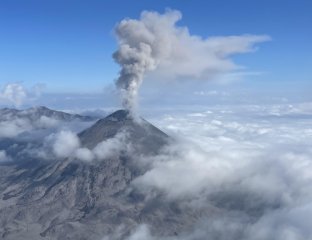 Орлан Камчатка