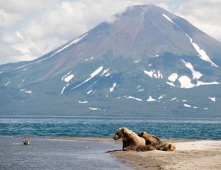 Пенинсула-Тревел