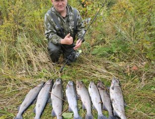 Промысловик