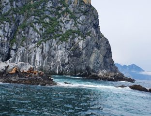 Северный Орел