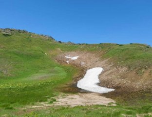 Таежные просторы Камчатки