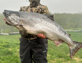 Территория лосося