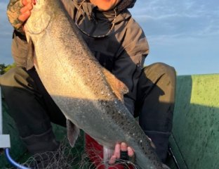 Территория лосося