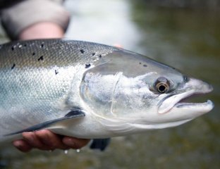 Усть-Кам Тур