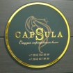 Capsula