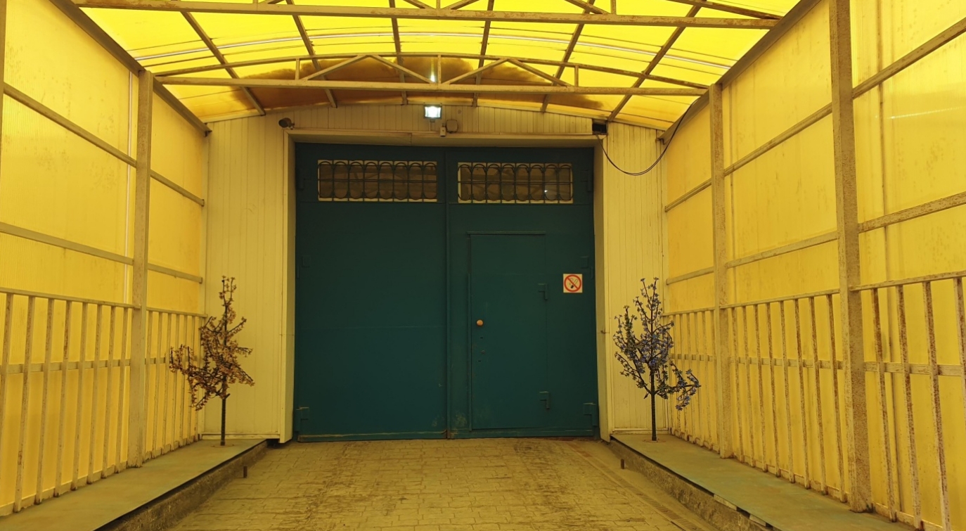 Фото организации