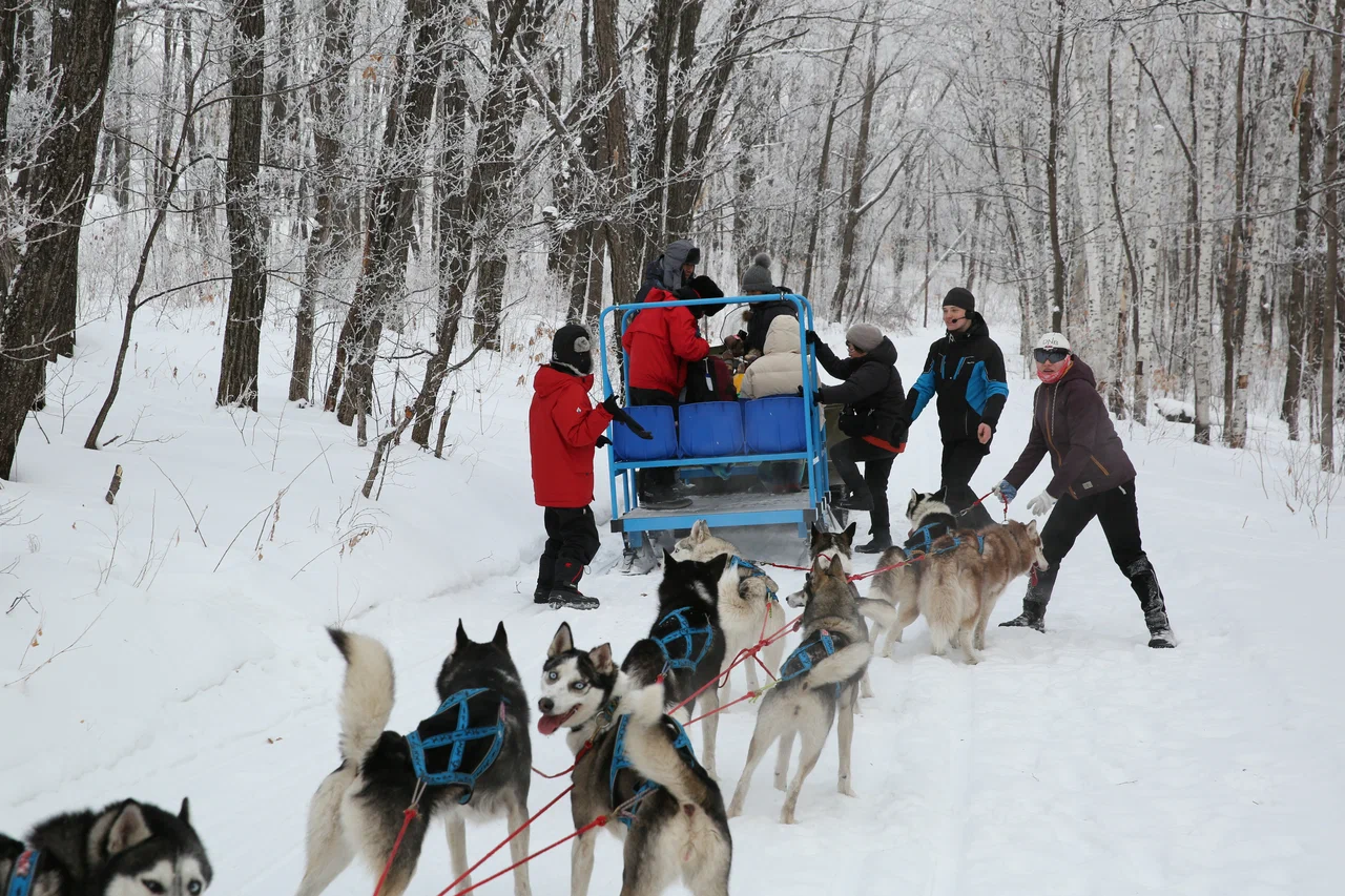 Фото организации
