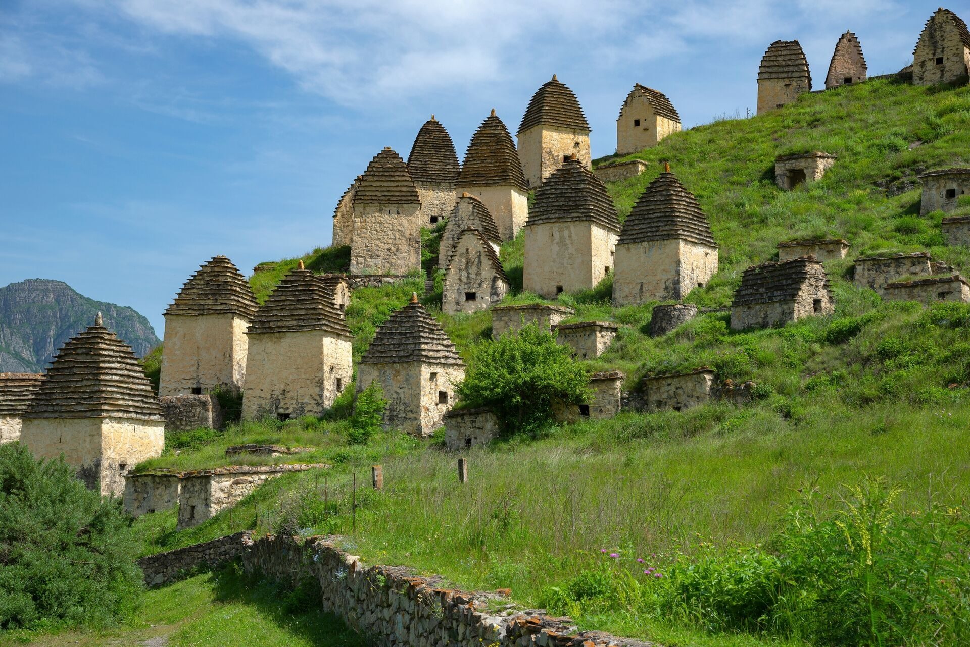 Фото организации