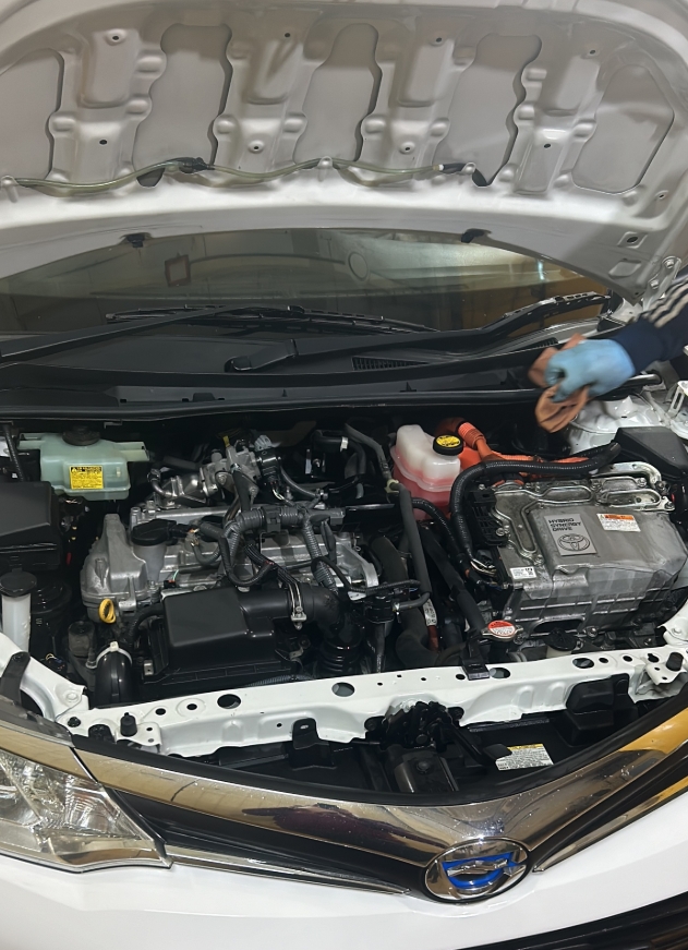 Фото организации