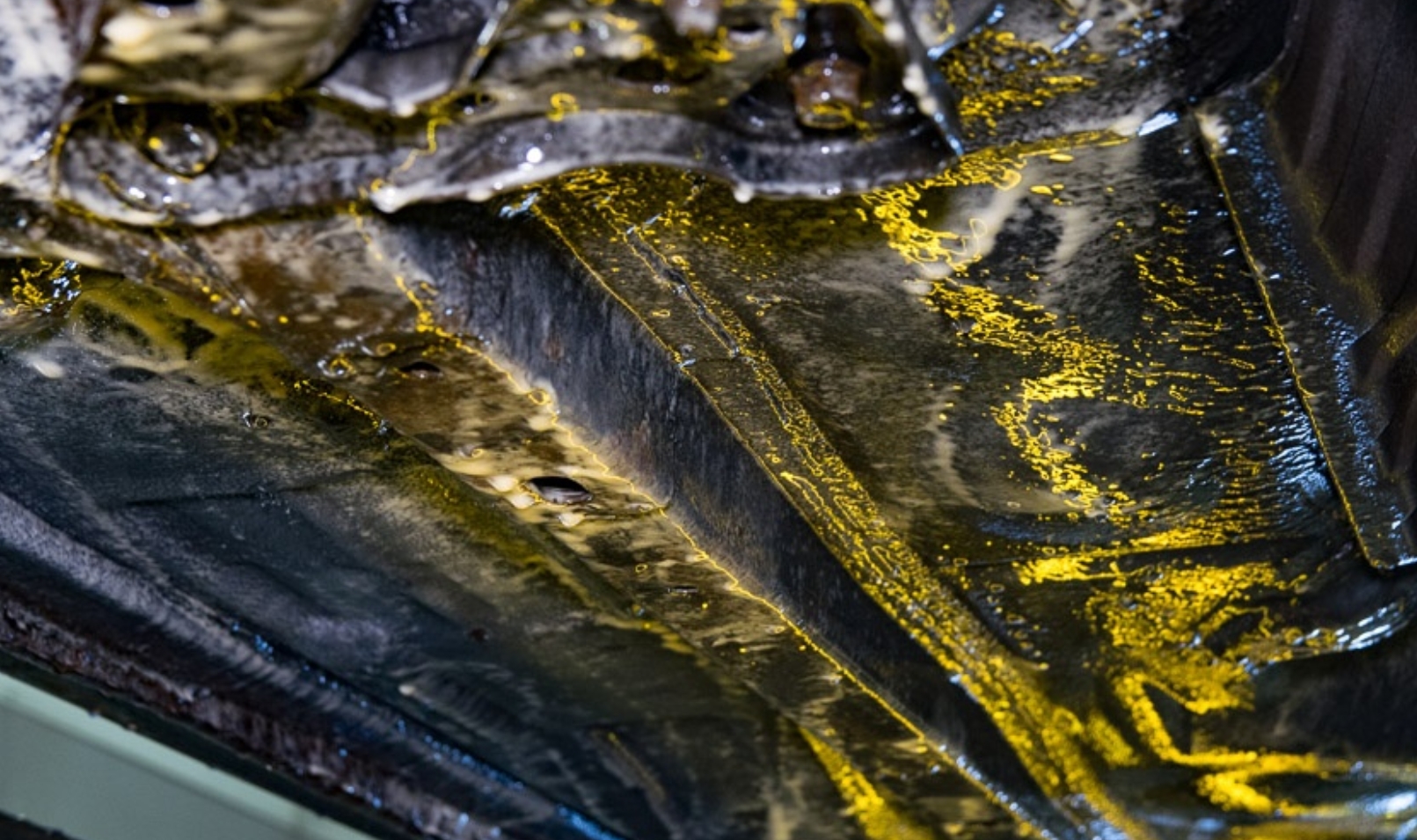 Фото организации