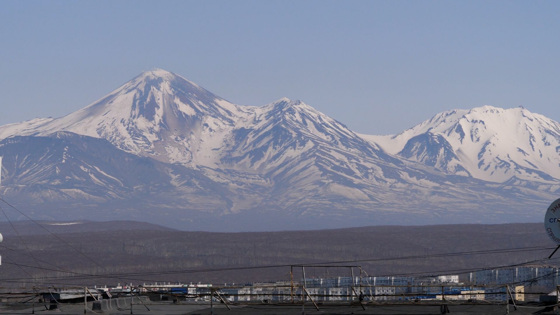 Фото организации