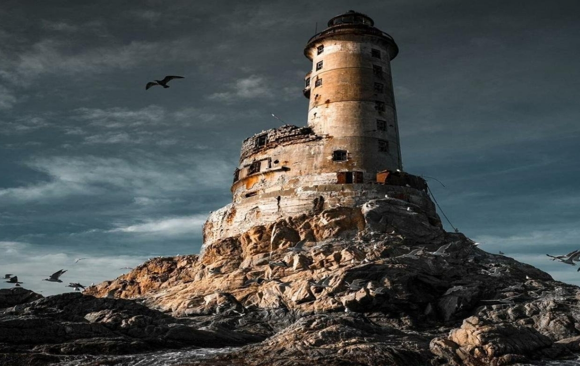 Фото организации