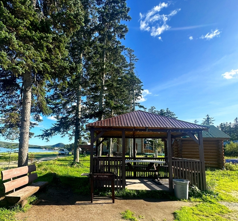 Фото организации