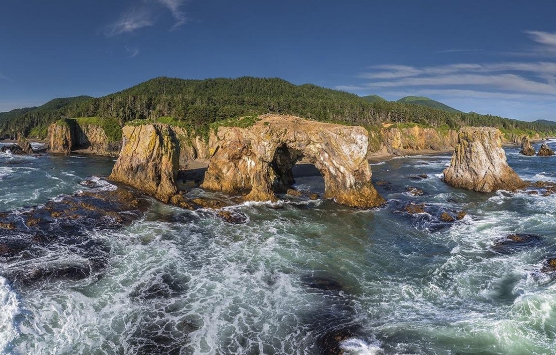 Фото организации