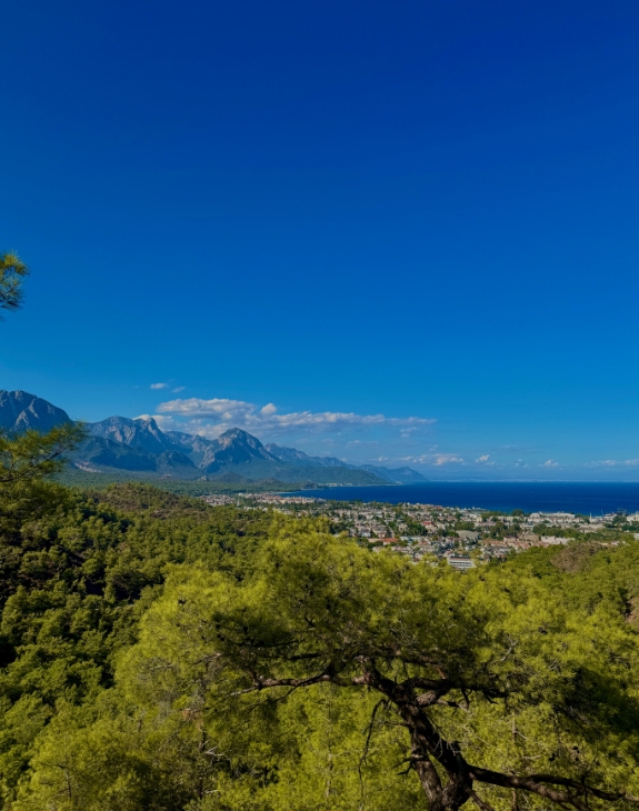 Фото организации