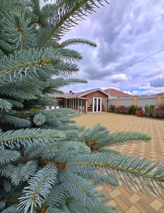 Фото организации