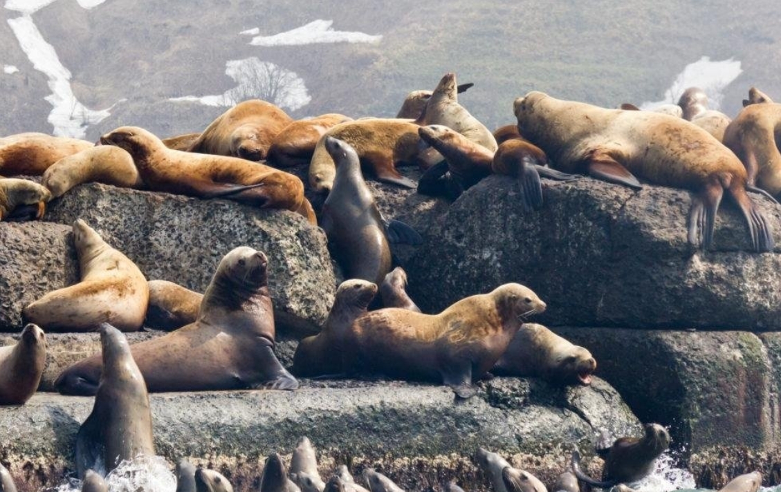 Фото организации