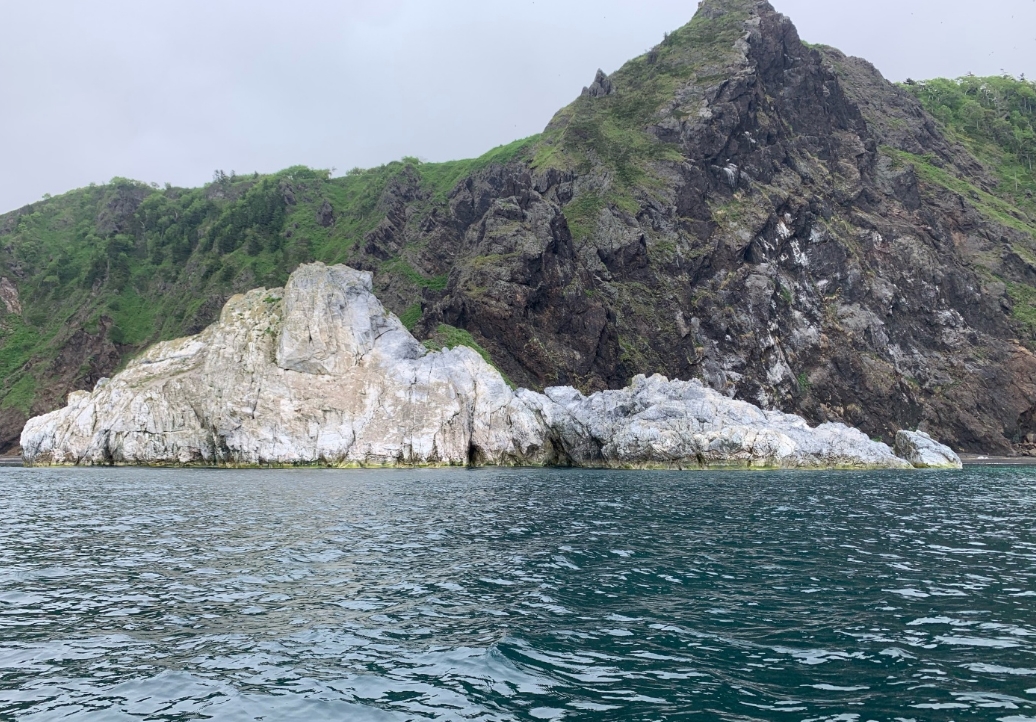 Фото организации