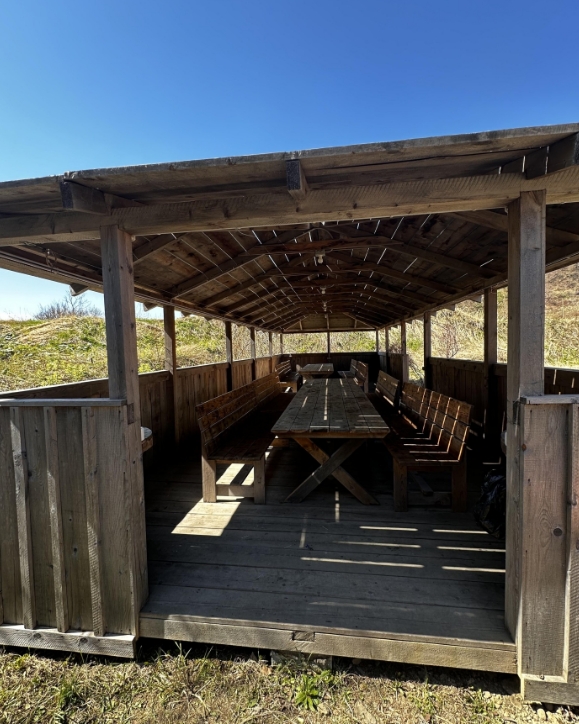 Фото организации