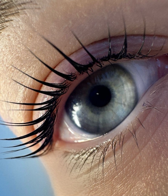 Фото организации