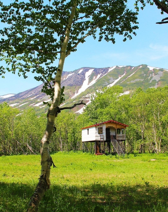 Фото организации