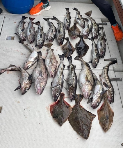 Фото организации