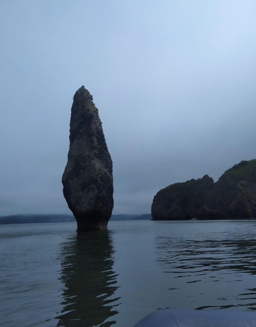 Фото организации