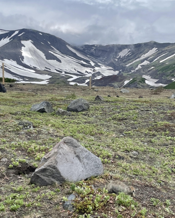 Фото организации