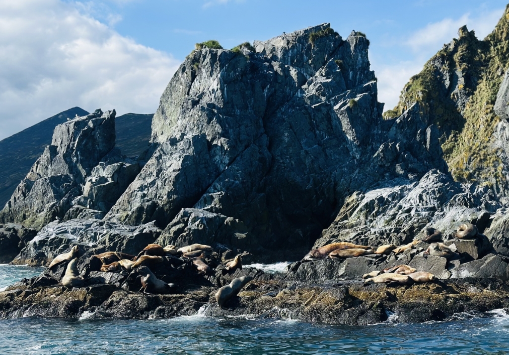 Фото организации