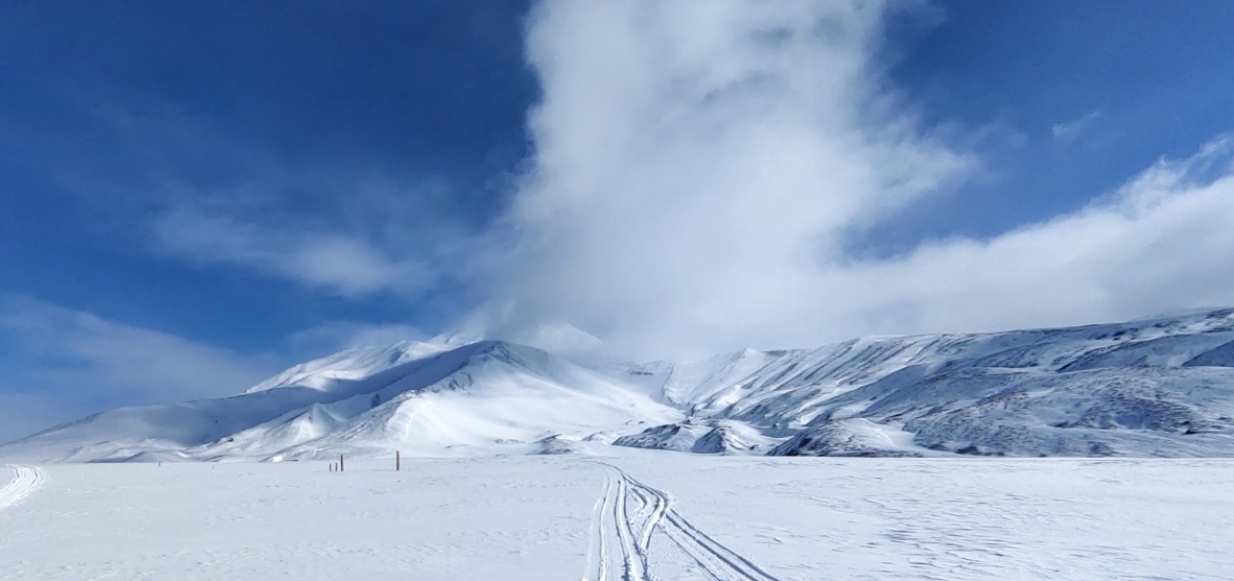 Фото организации