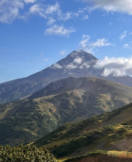 Фото организации