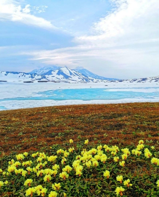 Фото организации