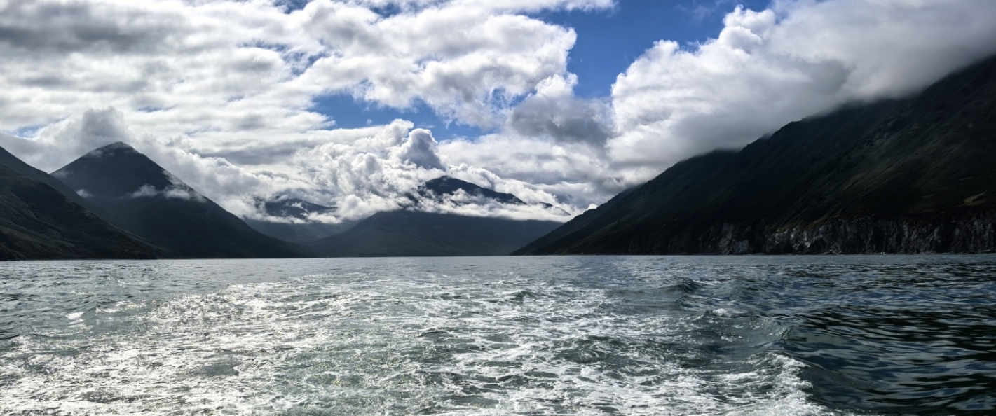 Фото организации