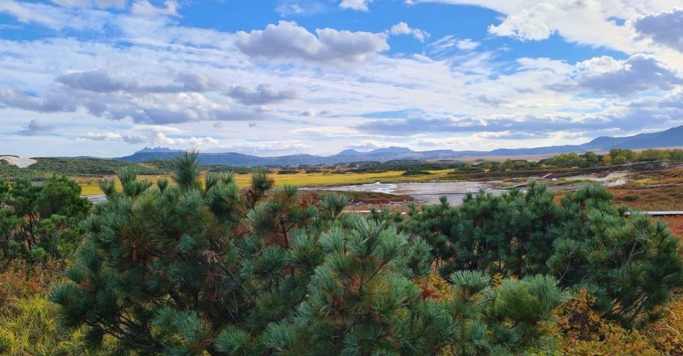 Фото организации